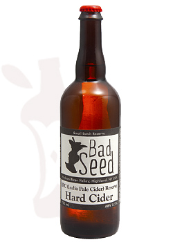 Bad Seed_Hopped Cider